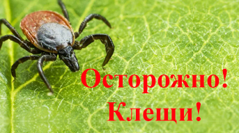 Осторожно! Клещи!.
